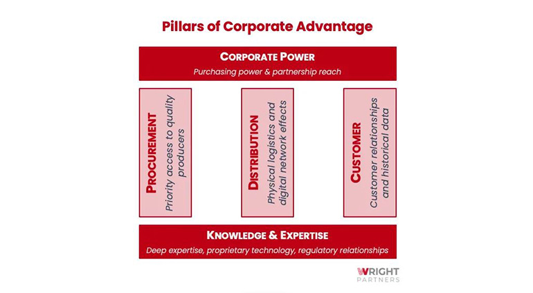 The Pillars of Defensible Corporate Assets