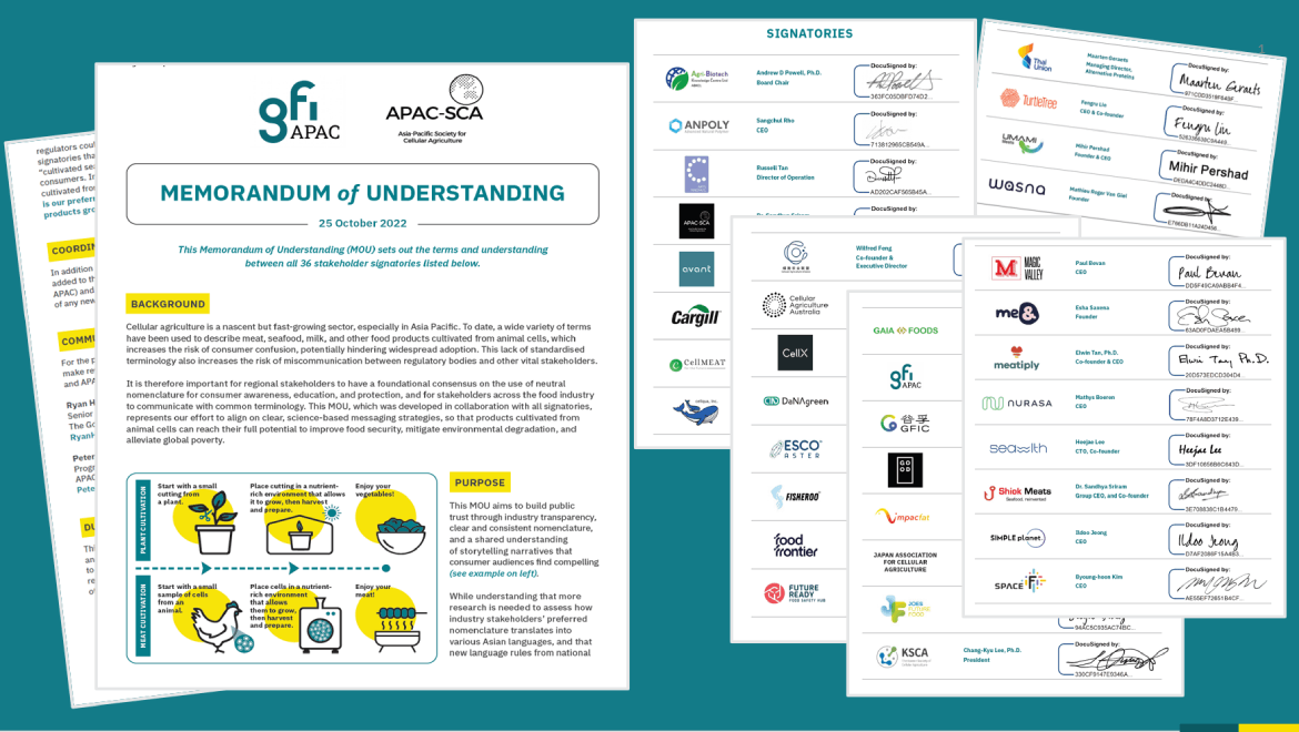 Memorandum of Understanding