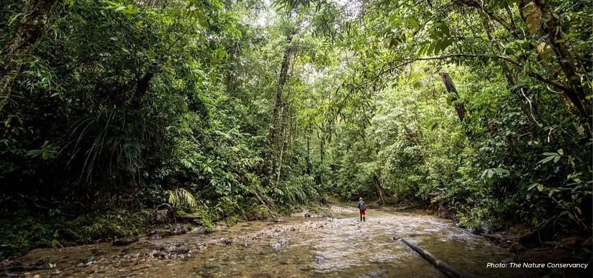 The Nature Conservancy aims to raise high-quality carbon credit supply in the region and unlock more conservation projects in Southeast Asia. 