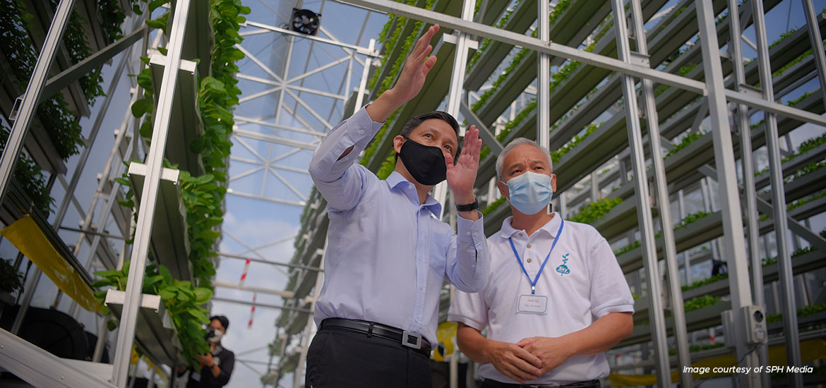 High-tech farming 'toolbox' can help Singapore weather future food supply challenges: Chan Chun Sing masthead image