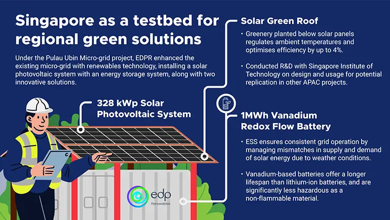 Singapore as a testbed for regional green solutions