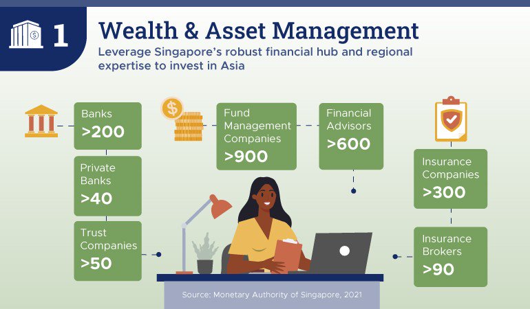 Wealth Asset Management