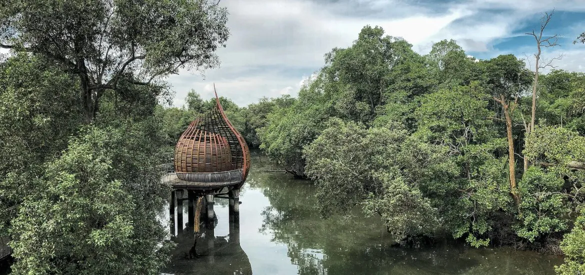 It’s a Jungle Out There: 5 Ways to Connect with Nature in Bustling Singapore masthead image