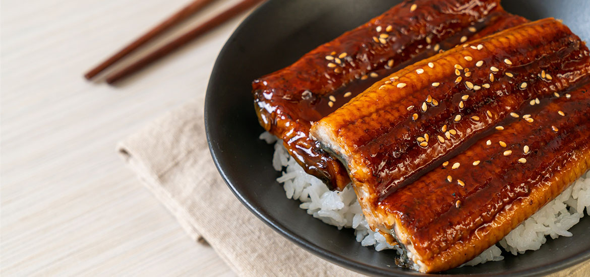 Lab-grown unagi could arrive at dinner tables as early as 2024 Masthead image