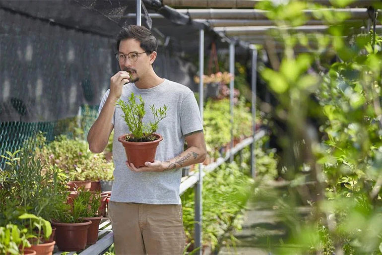 When Mr Bjorn Low first started farming in Singapore, he began with a community garden and helping friends set up gardens before the inception of Edible Garden City. Image courtesy of SPH Media