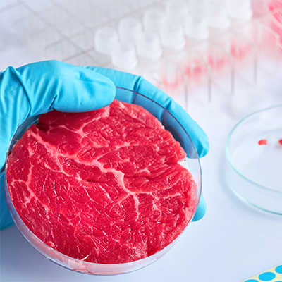 NUS scientists develop plant-based ink for 3D-printing that can be used to grow meat in the lab list image