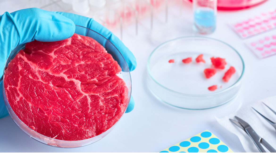 NUS scientists develop plant-based ink for 3D-printing that can be used to grow meat in the lab masthead image