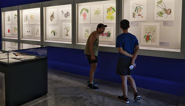 The exhibition focuses on plants native to Southeast Asia, ranging from forest trees and orchids to pitcher plants and even mushrooms.
