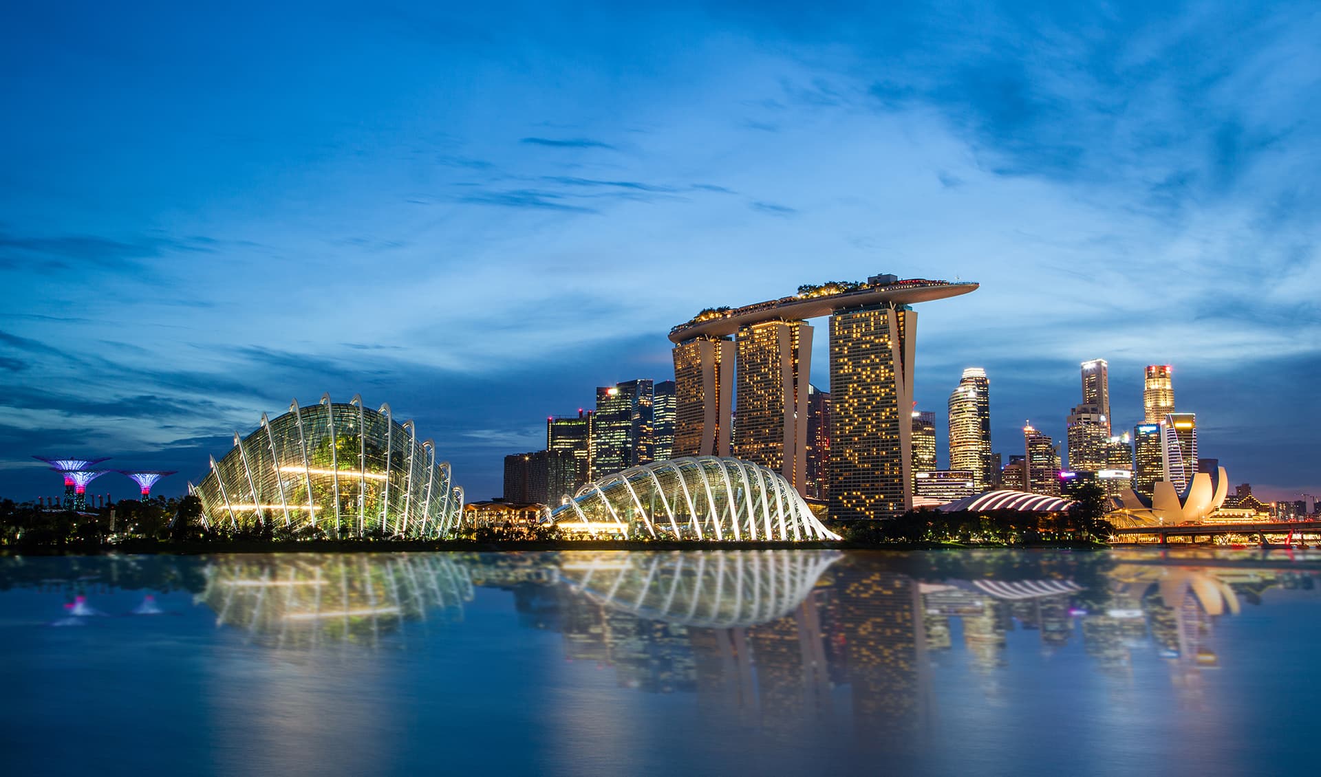 Singapore: a garden city for global professionals masthead