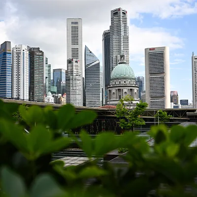 Singapore skyline featuring modern skyscrapers and the dome of the National Gallery, viewed from a garden terrace with greenery in the foreground.