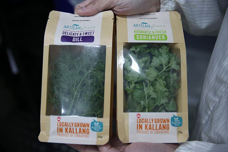Artisan Green's coriander is bracingly fresh, with a flavour that puts supermarket coriander to shame. Image courtesy of SPH Media.