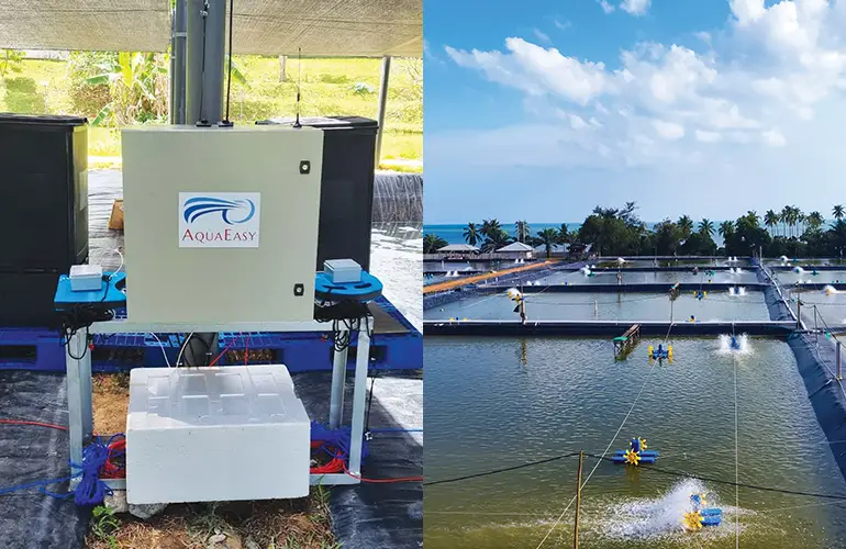 写真:AquaEasy