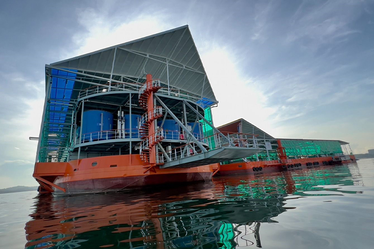 シンガポール、ウビン島沖に設置された Eco-Ark® （写真提供：ACE）